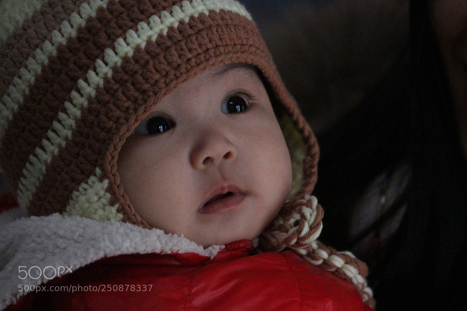 Canon EF-S 55-250mm F4-5.6 IS II sample photo. Img photography