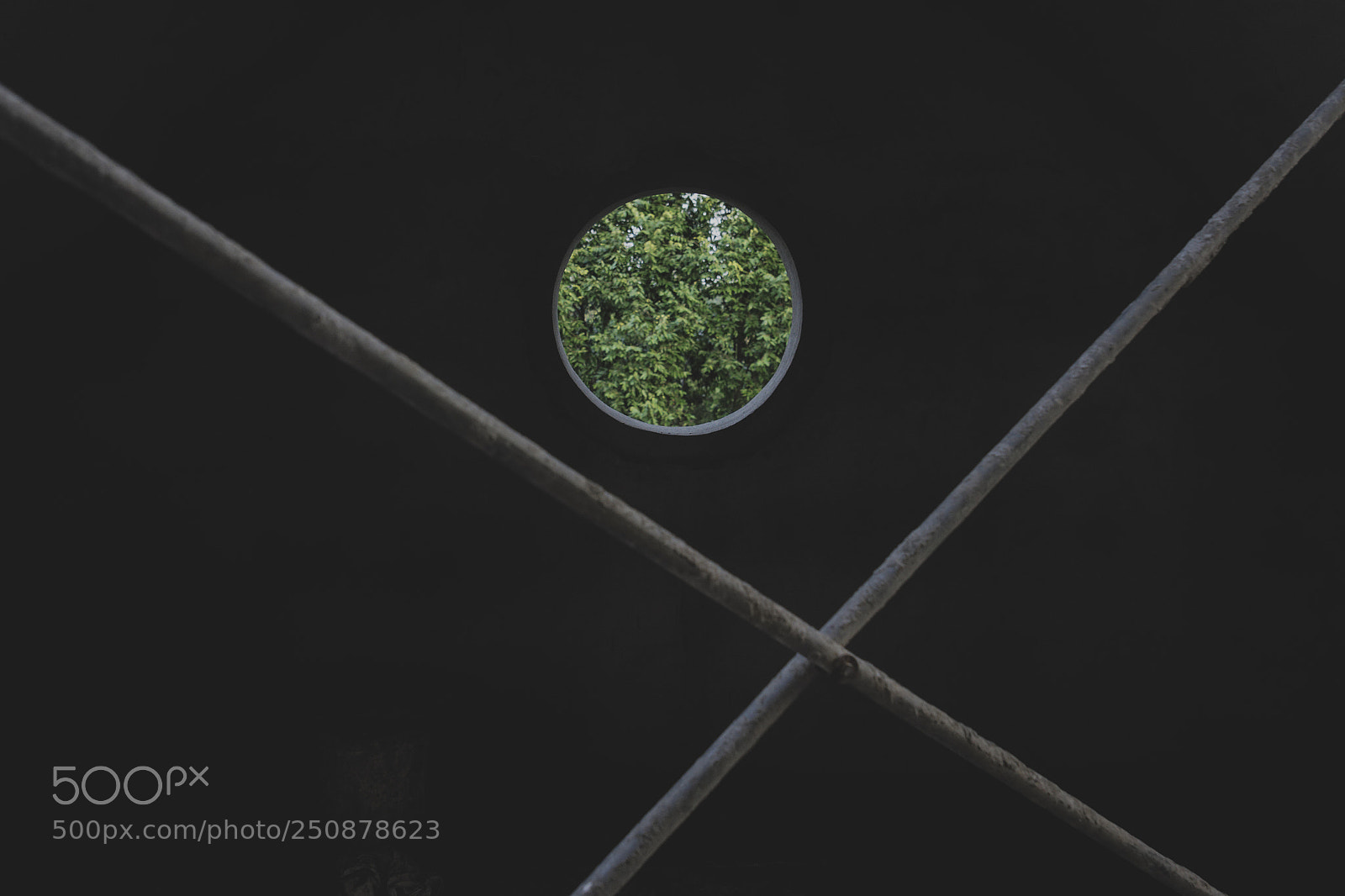 Sony ILCA-77M2 sample photo. Circle window photography