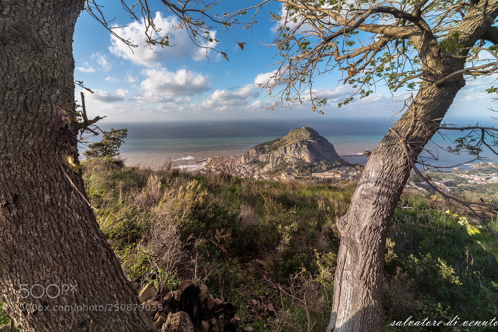 Nikon D610 sample photo. Modifica photography