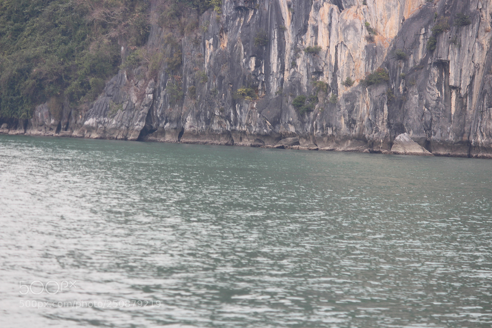 Canon EF-S 55-250mm F4-5.6 IS II sample photo. Img photography