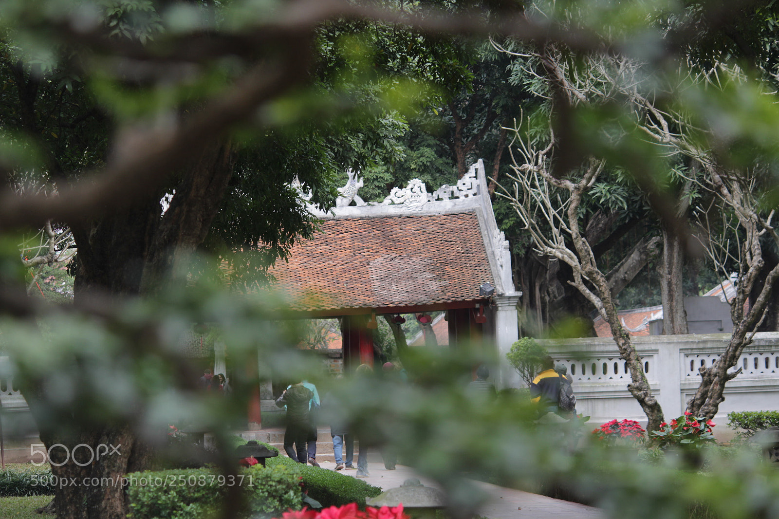 Canon EF-S 55-250mm F4-5.6 IS II sample photo. Img photography