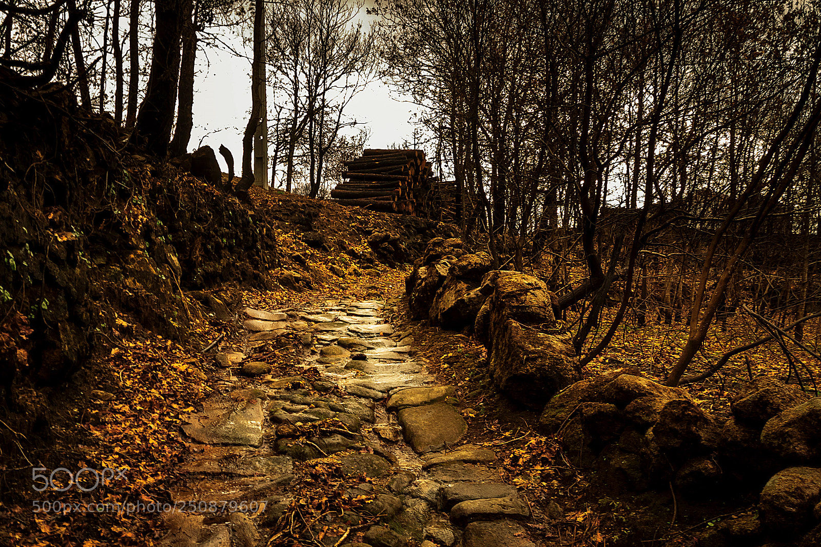Canon EOS 500D (EOS Rebel T1i / EOS Kiss X3) sample photo. Roman road. photography