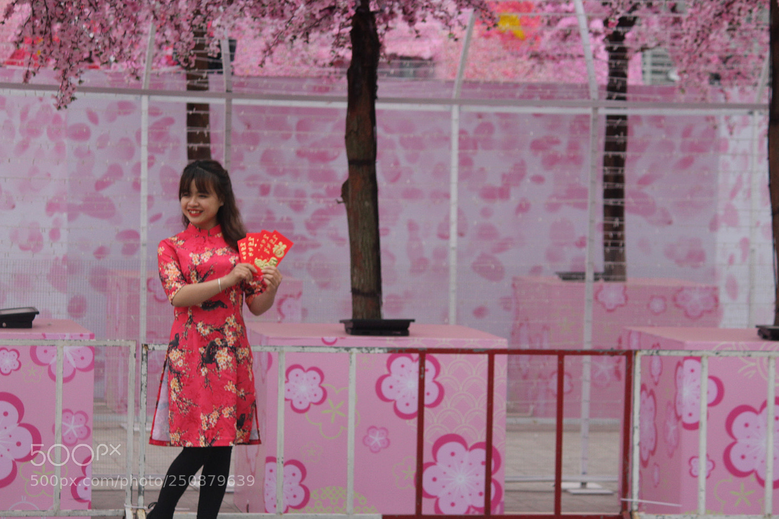 Canon EF-S 55-250mm F4-5.6 IS II sample photo. Img photography