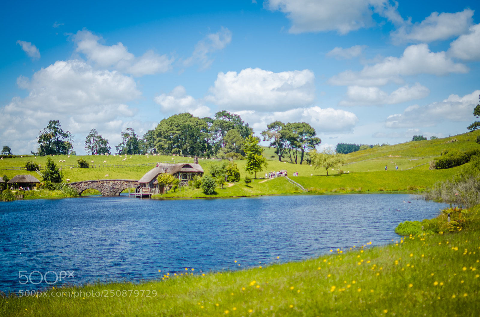 Nikon D7000 sample photo. The shire photography