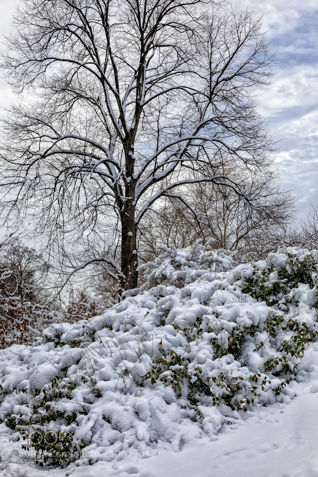 Canon EOS 5D Mark II sample photo. After the snowstorm photography