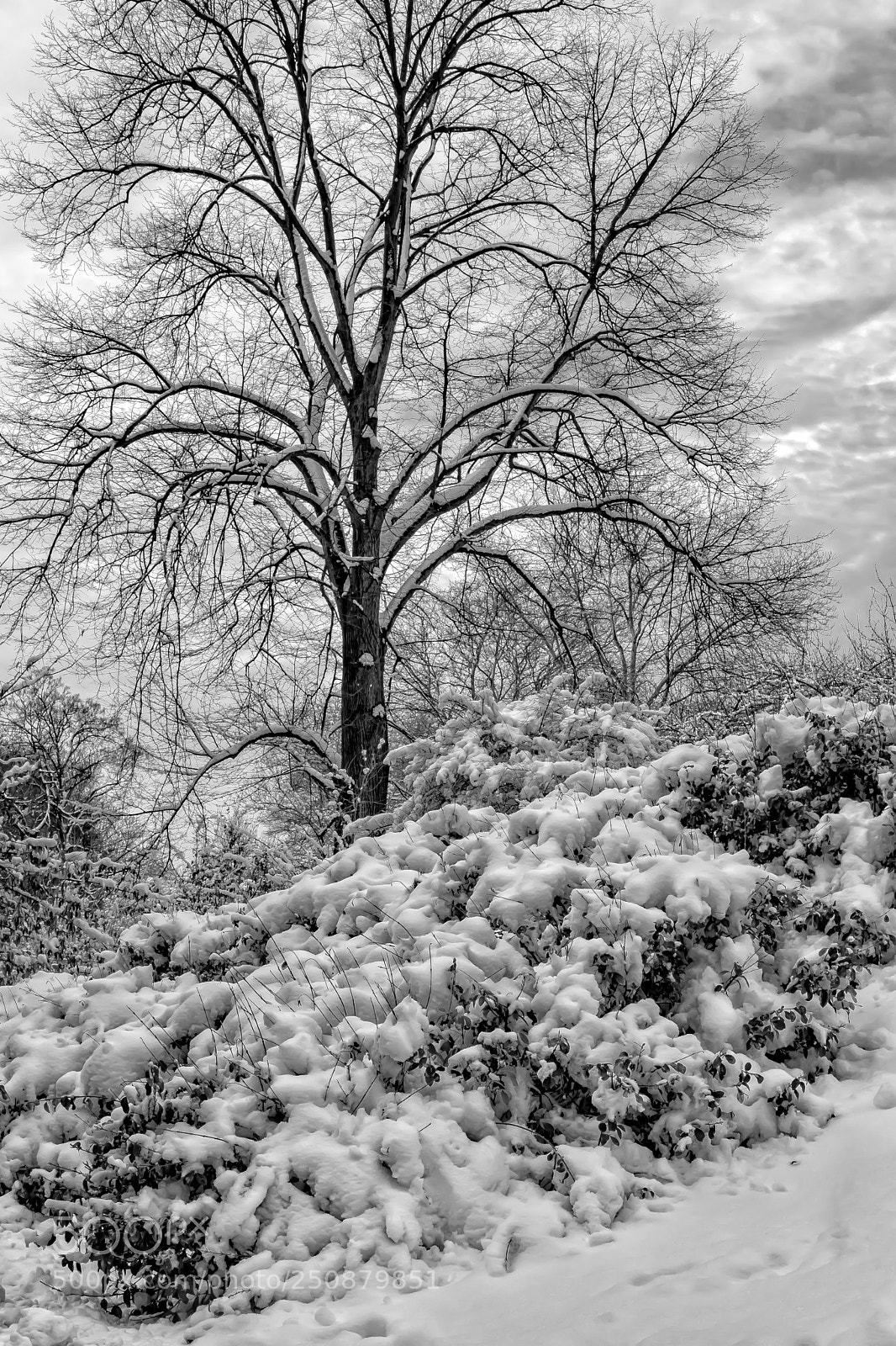 Canon EOS 5D Mark II sample photo. After the snowstorm photography