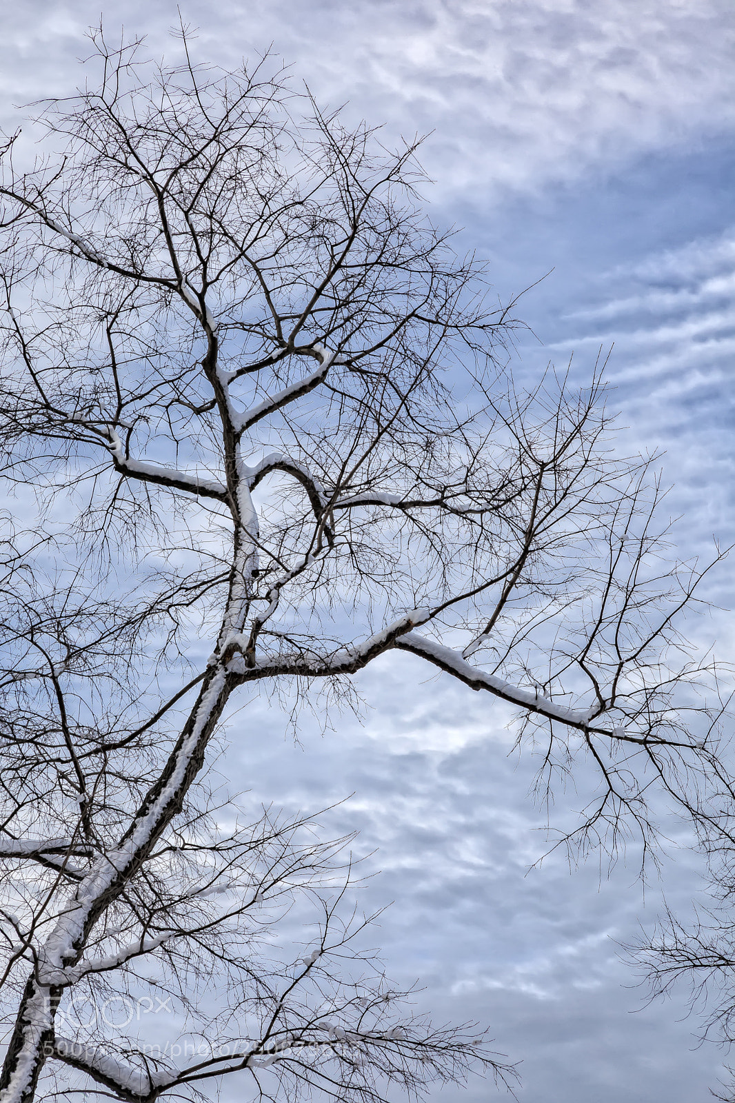 Canon EOS 5D Mark II sample photo. Snow trees sky and photography