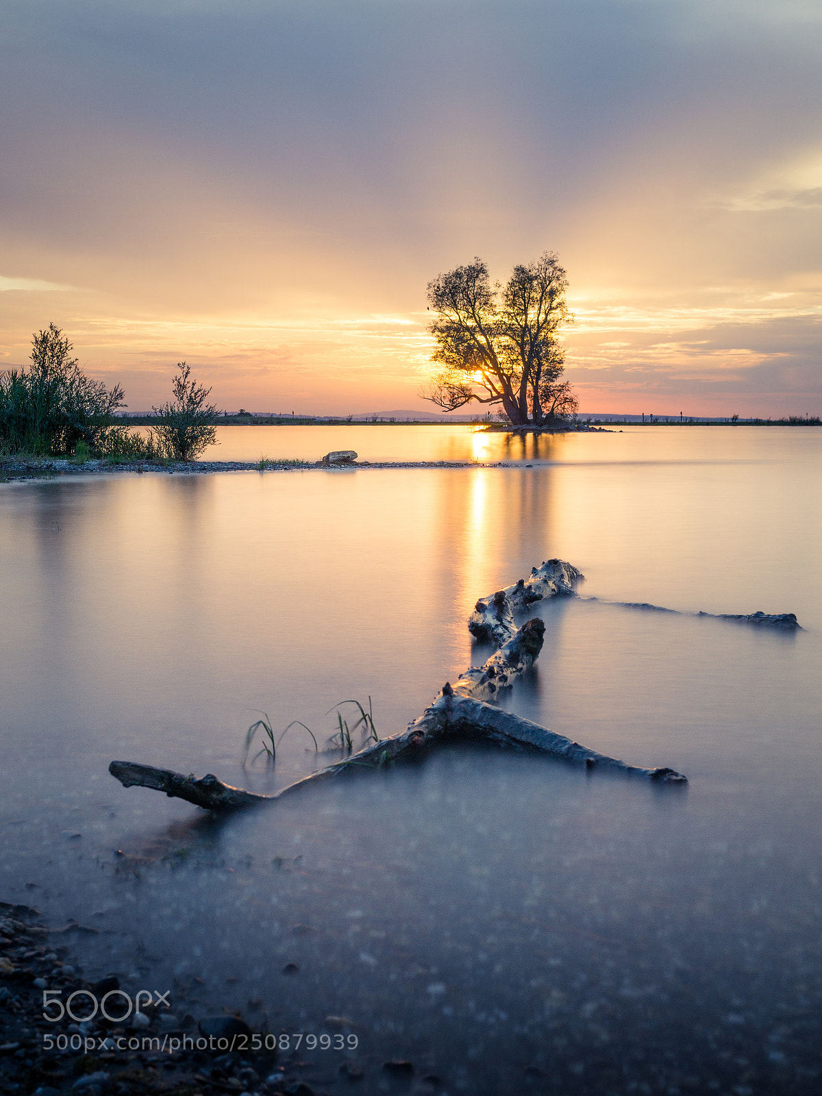 Sony a6000 sample photo. Driftwood photography