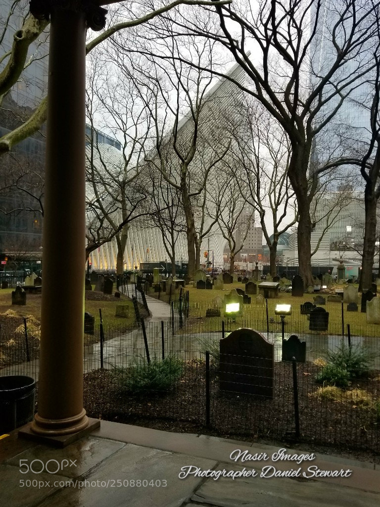 Samsung Galaxy S8+ sample photo. Untitled photography