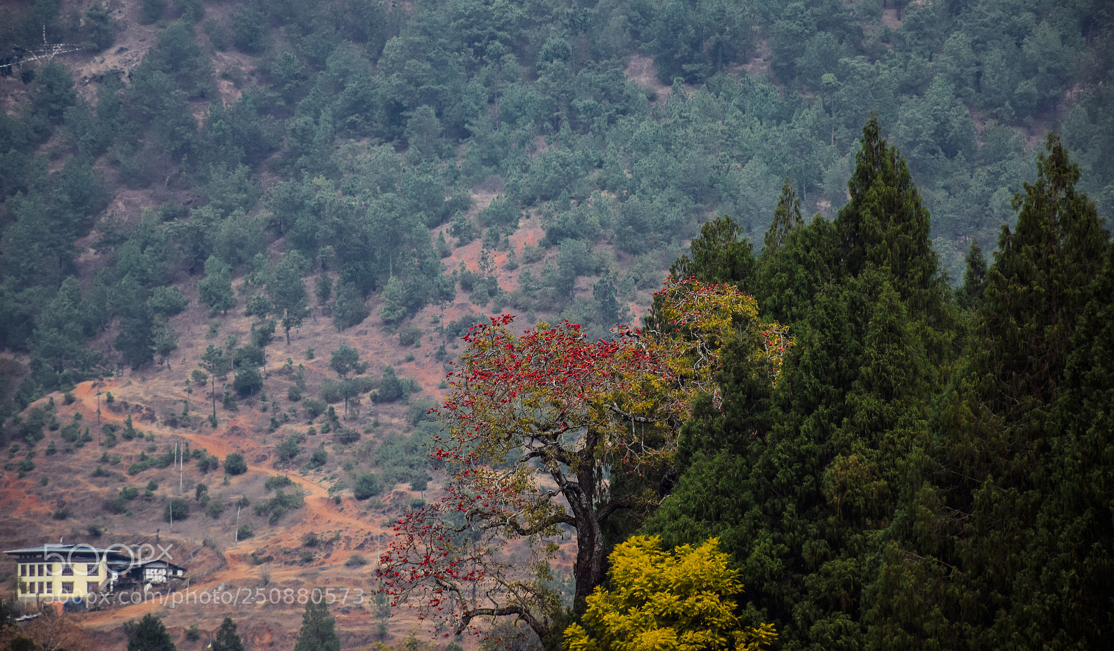 Nikon D5300 sample photo. Colors of nature photography