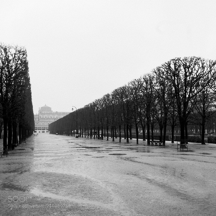 Fujifilm X-Pro1 sample photo. Un jour de pluie photography