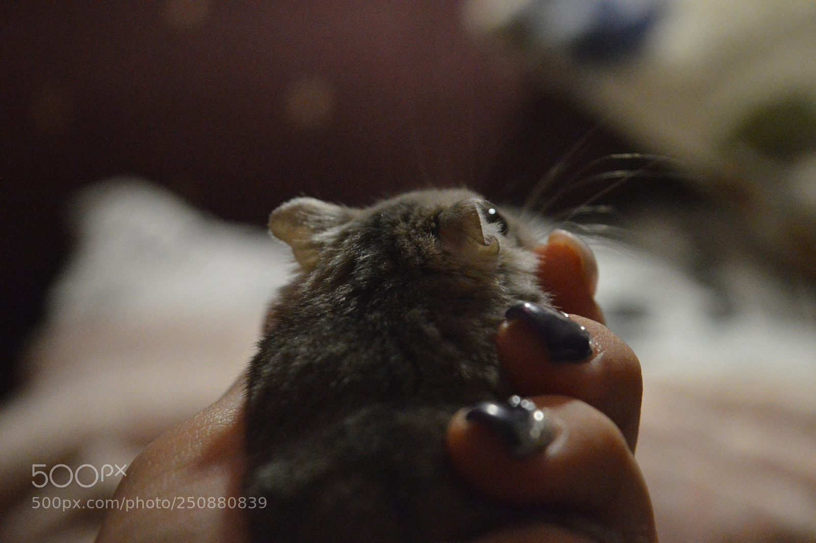 Nikon D3200 sample photo. Days in the life photography