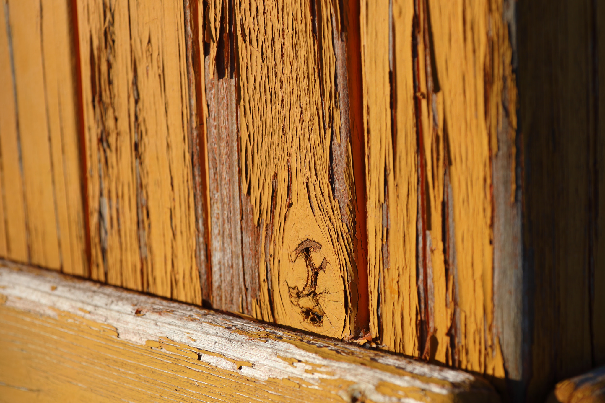 Canon EF 28-300mm F3.5-5.6L IS USM sample photo. Wood photography