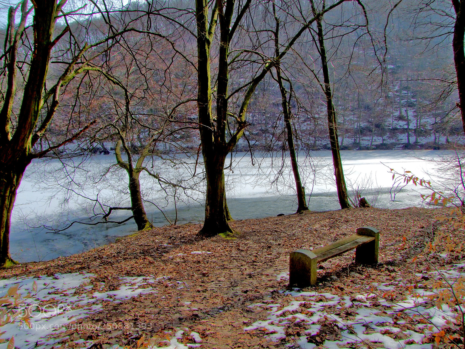 Fujifilm FinePix S100fs sample photo. Monastery ponds photography