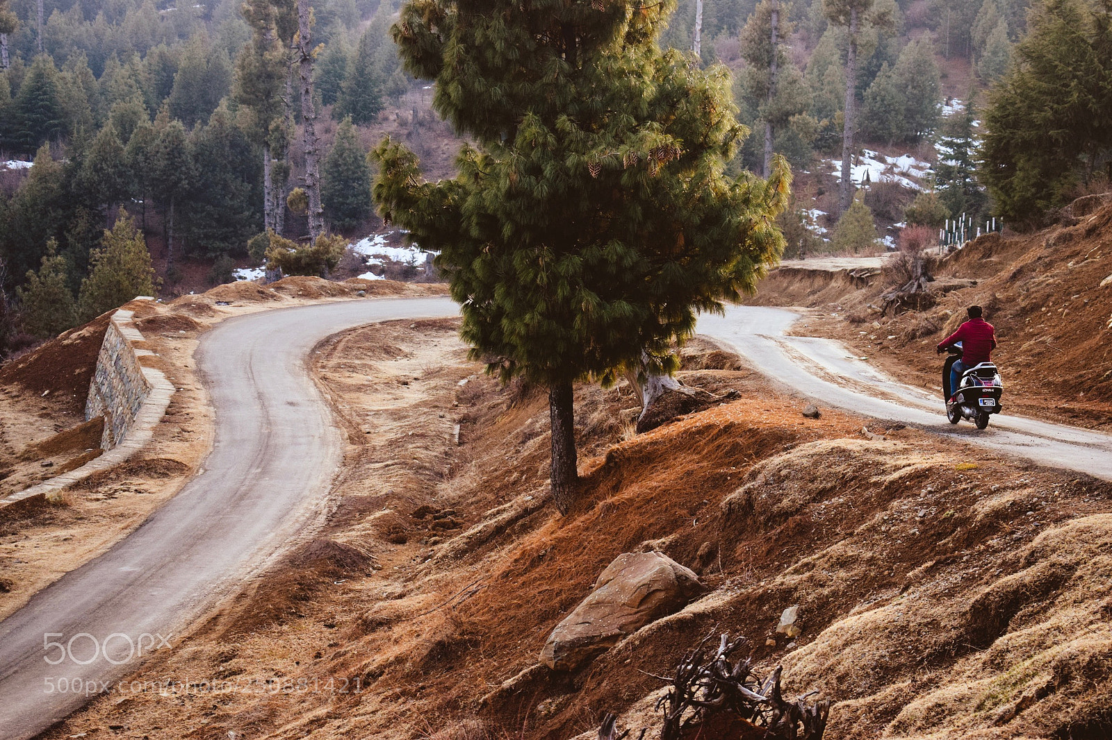 Nikon D3300 sample photo. A road towards heaven photography