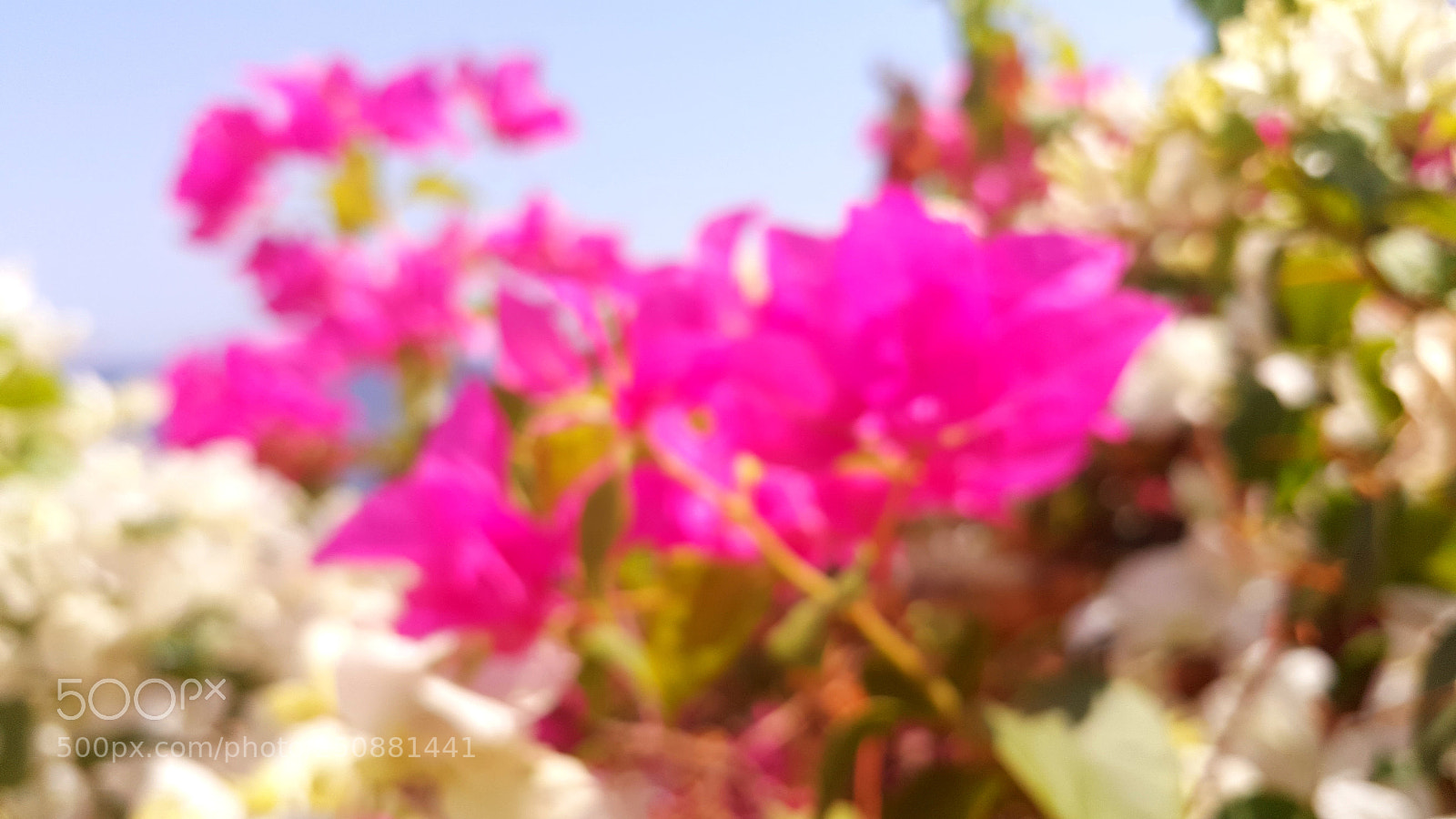 Samsung Galaxy Note5 sample photo. 20170906_122925.jpg photography
