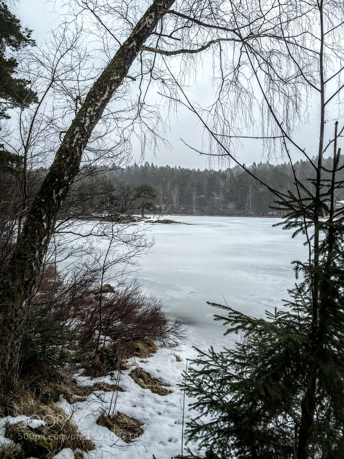 Apple iPhone 5s sample photo. Still winter photography