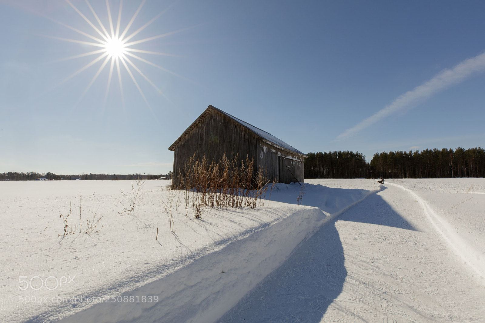 Canon EOS 5DS sample photo. Towards spring photography