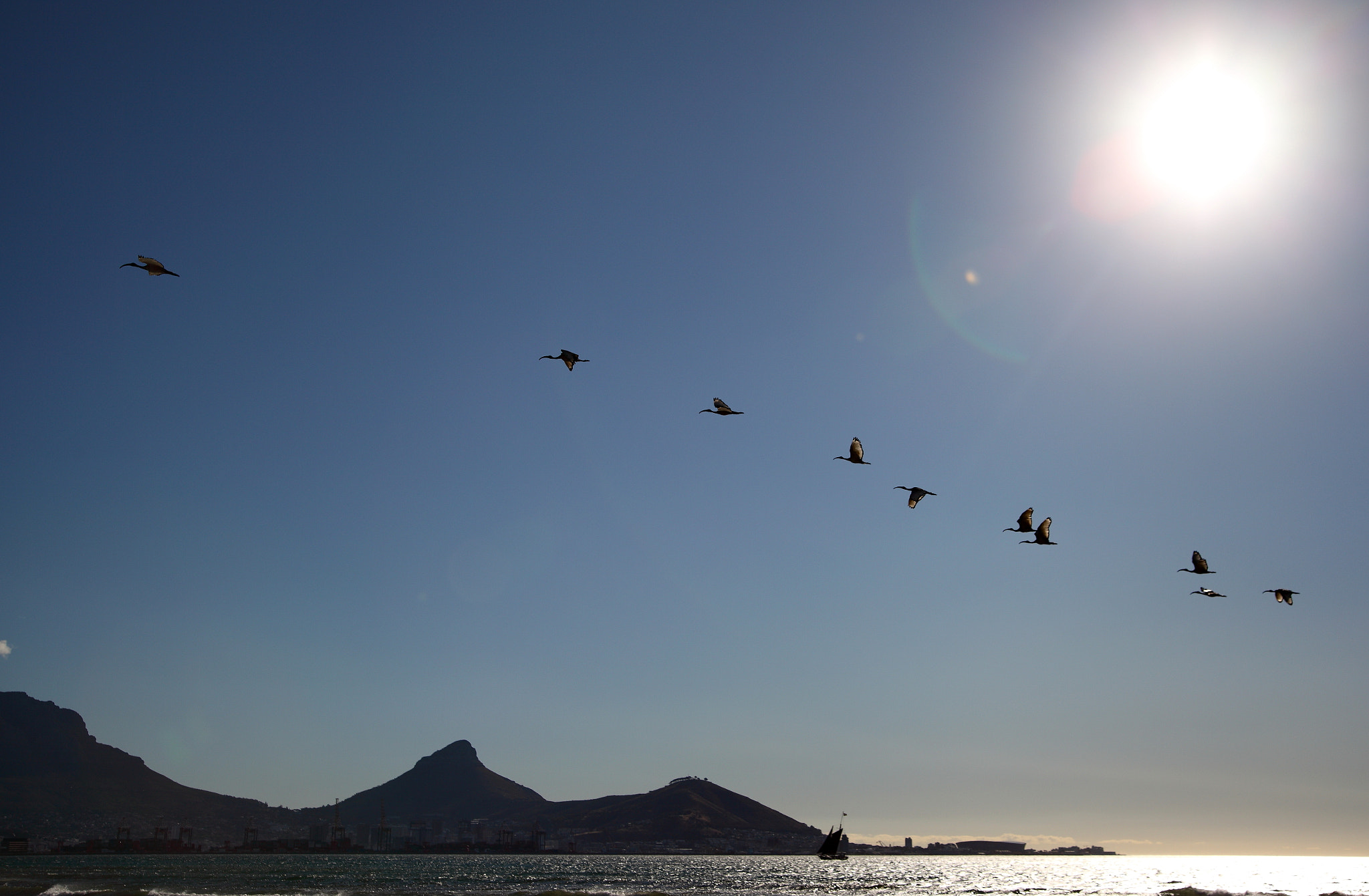Canon 28-75mm sample photo. 遨游蓝天 photography