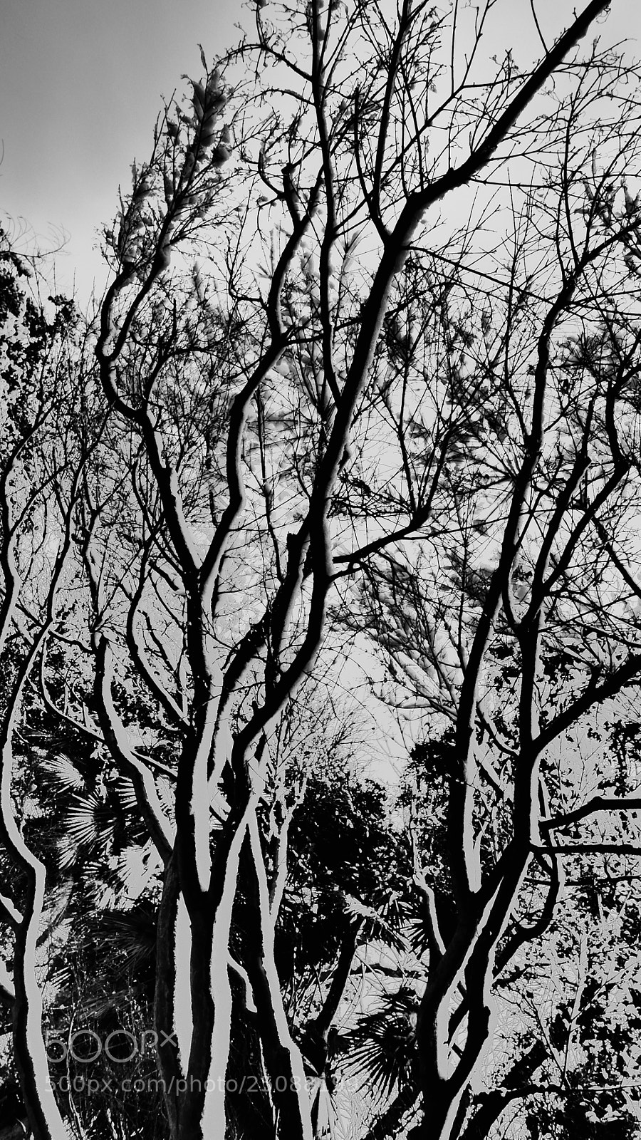 Leica D-Lux (Typ 109) sample photo. Untitled photography