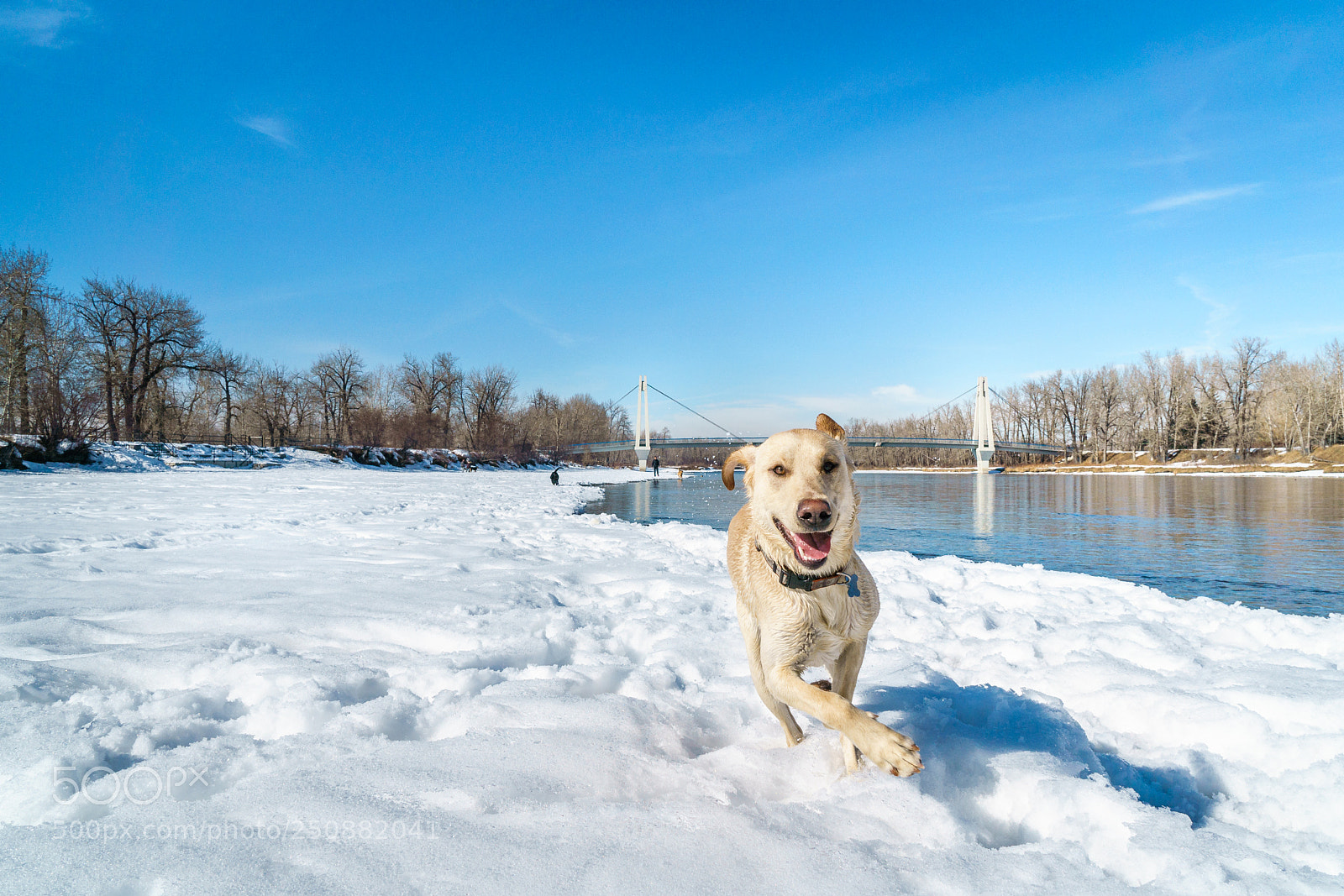 Sony a6500 sample photo. Playing near the river photography