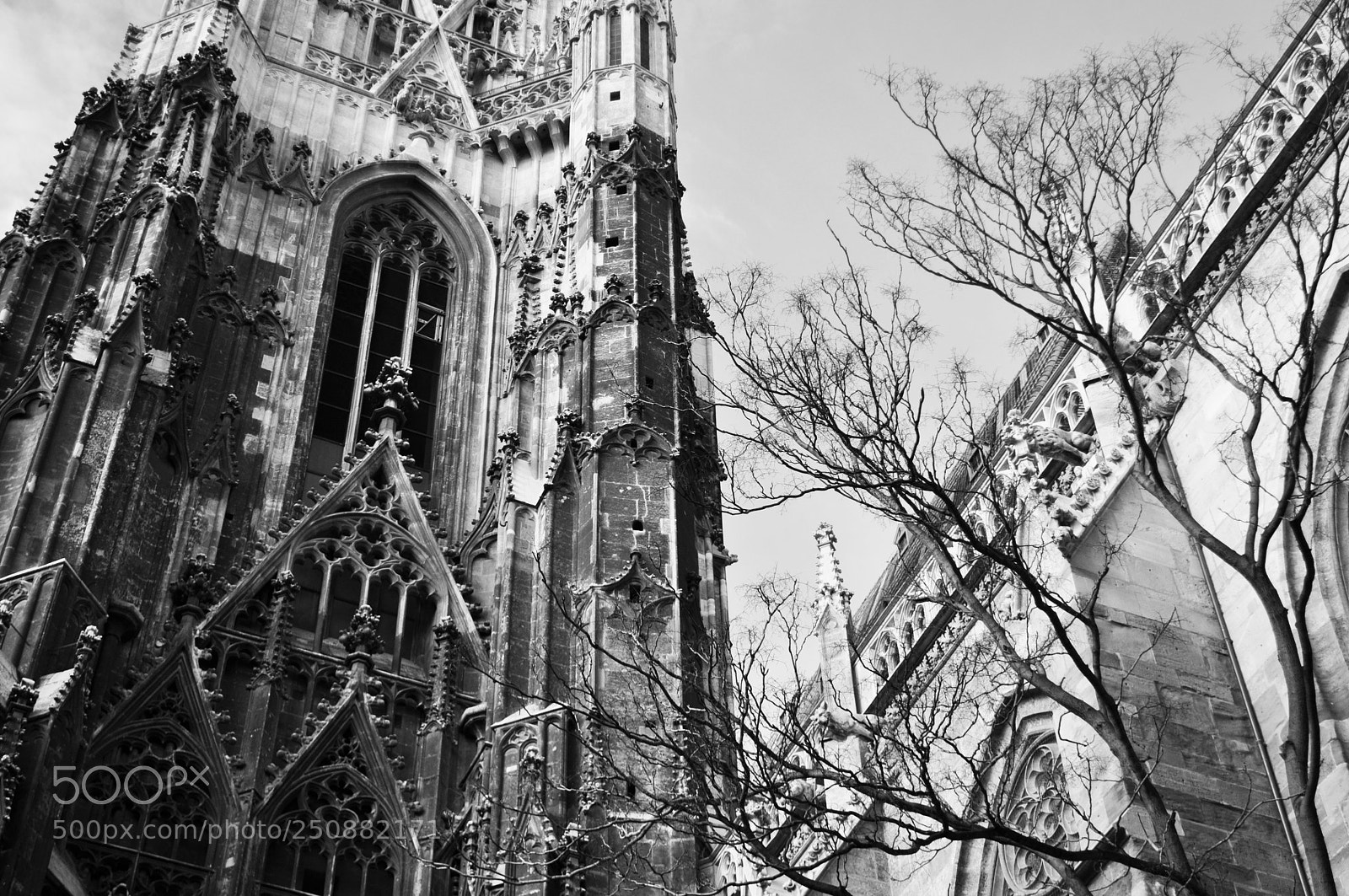 Nikon D5000 sample photo. Gothic photography