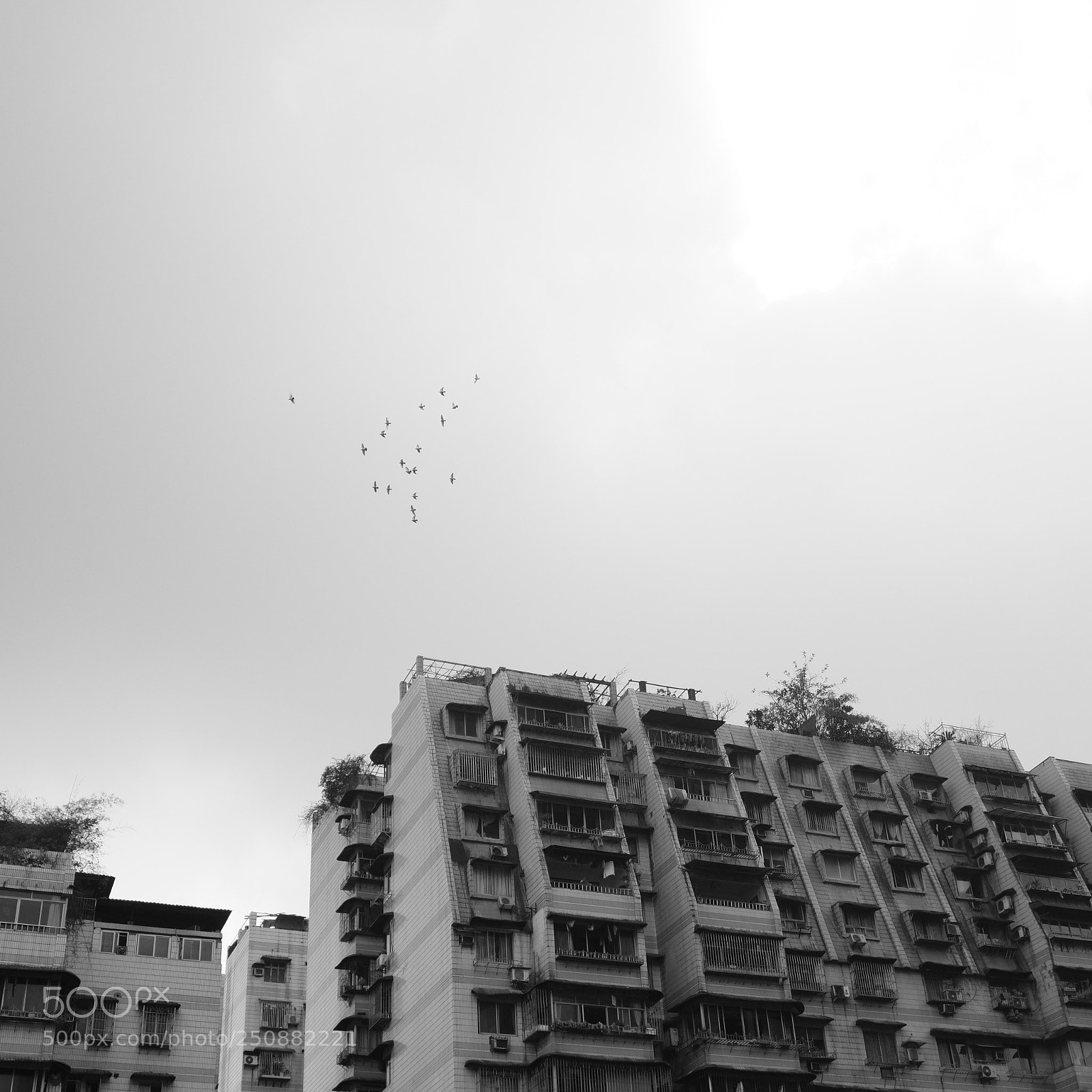 Fujifilm X-E3 sample photo. Untitled photography
