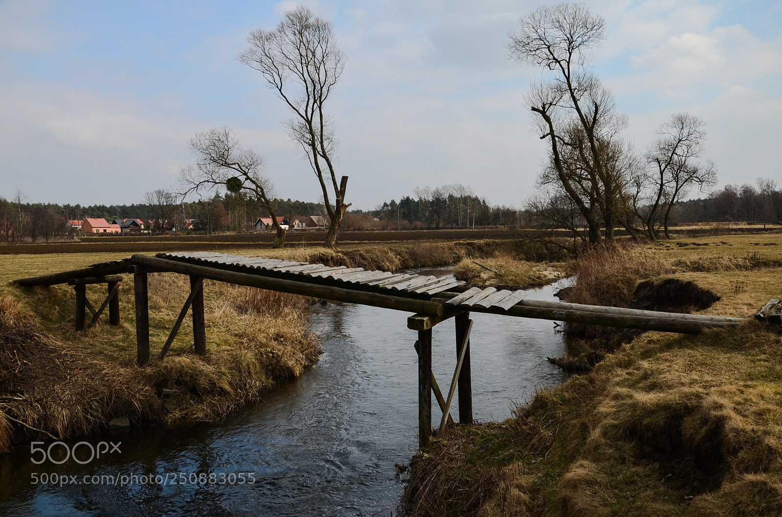 Nikon D5100 sample photo. 305 photography