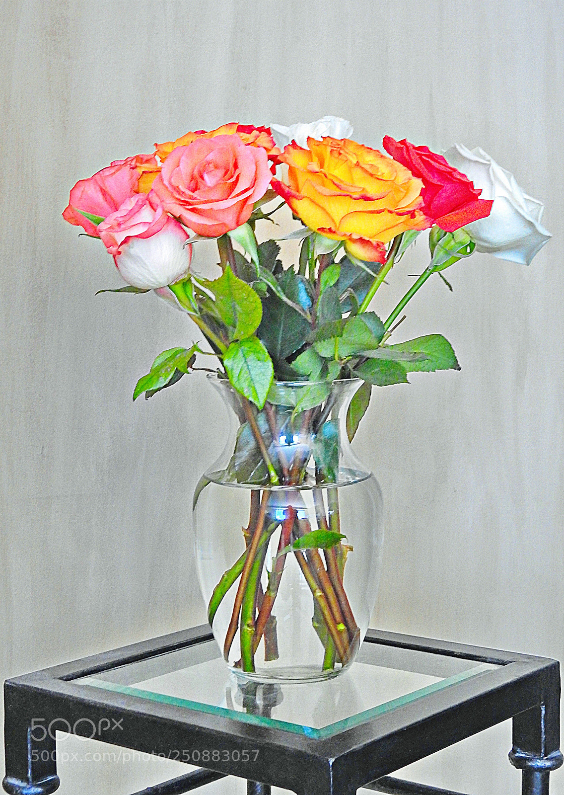 Nikon Coolpix P900 sample photo. Roses photography