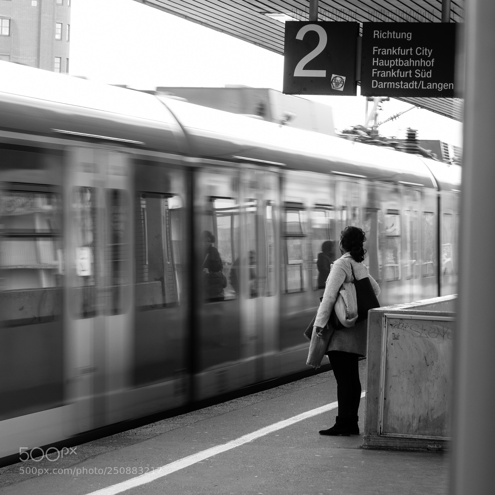 Olympus OM-D E-M5 II sample photo. Ready to catch it photography