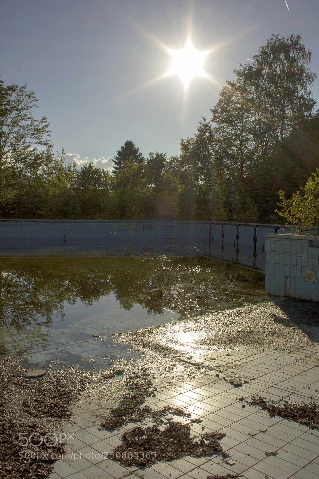 Canon EOS 550D (EOS Rebel T2i / EOS Kiss X4) sample photo. Green pool photography