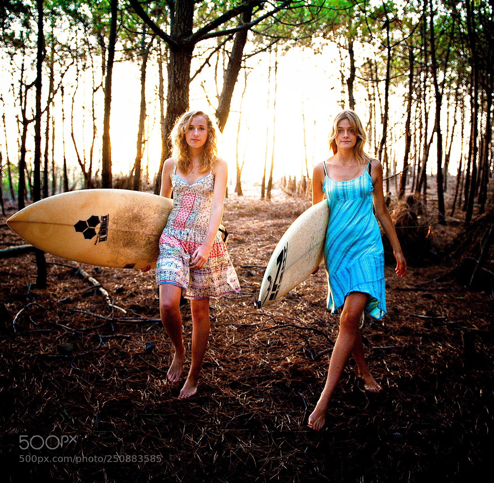 Nikon D3 sample photo. Endless summer photography