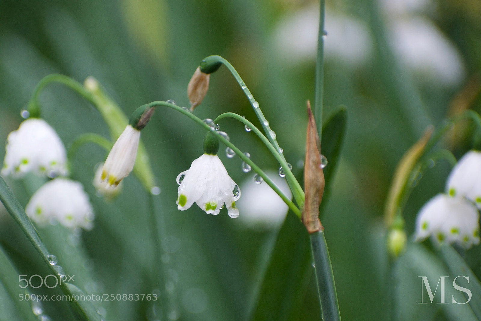 Nikon D5300 sample photo. Untitled photography