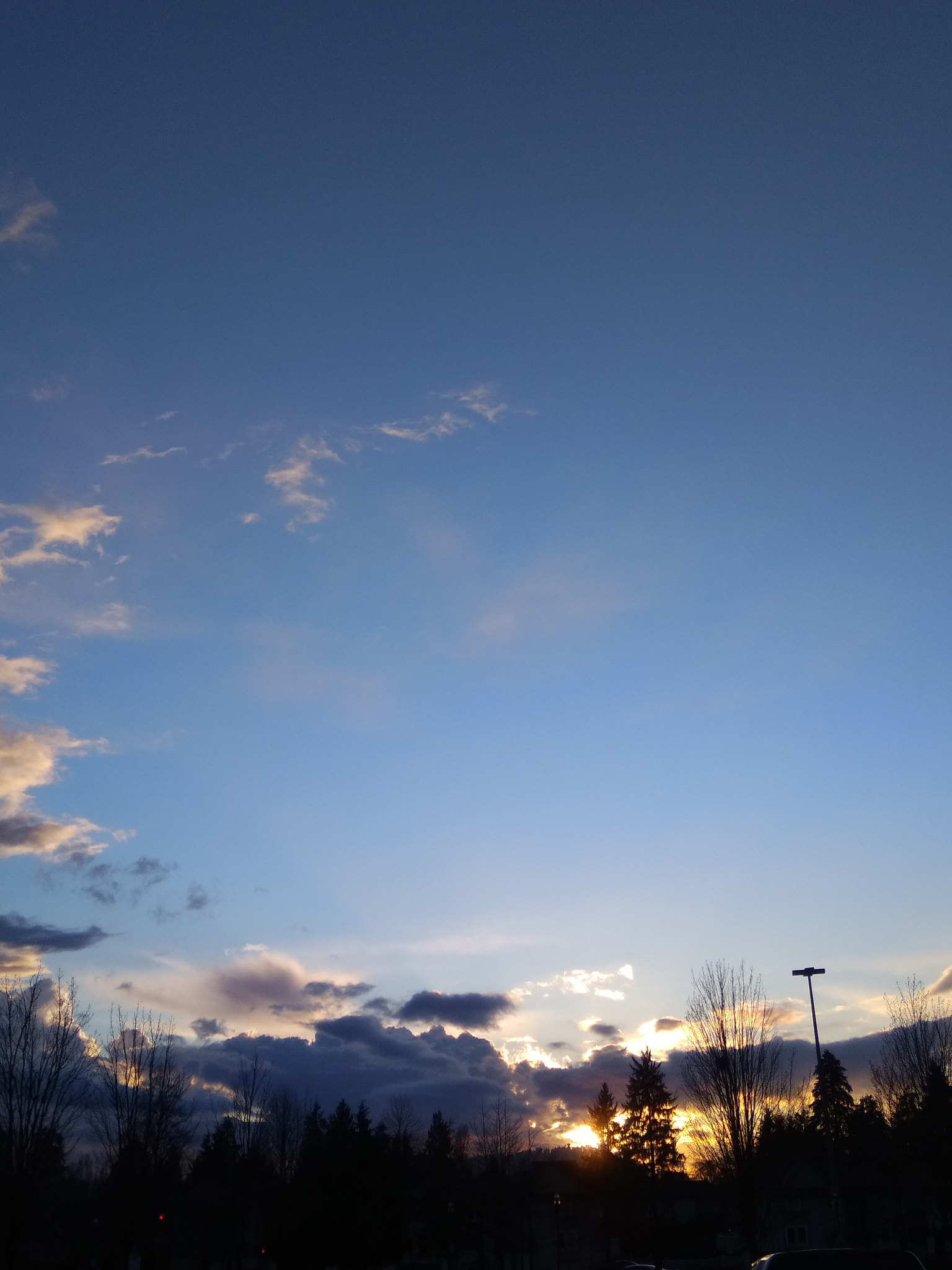 Xiaomi MI MAX sample photo