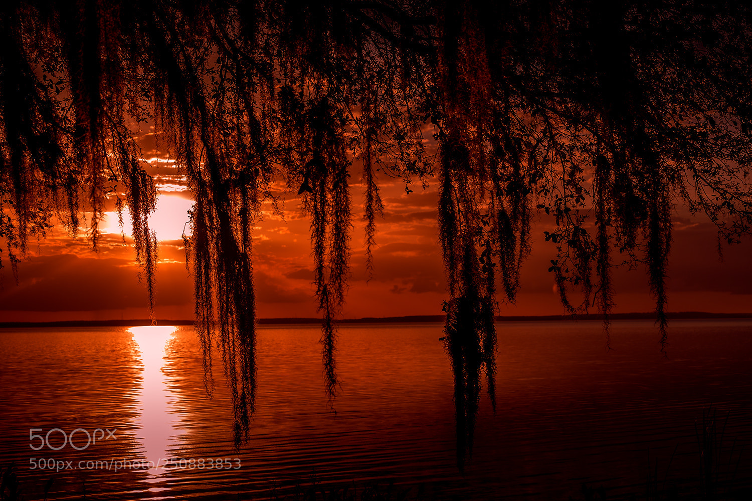 Canon EOS 5D Mark IV sample photo. Sunset by the lake photography