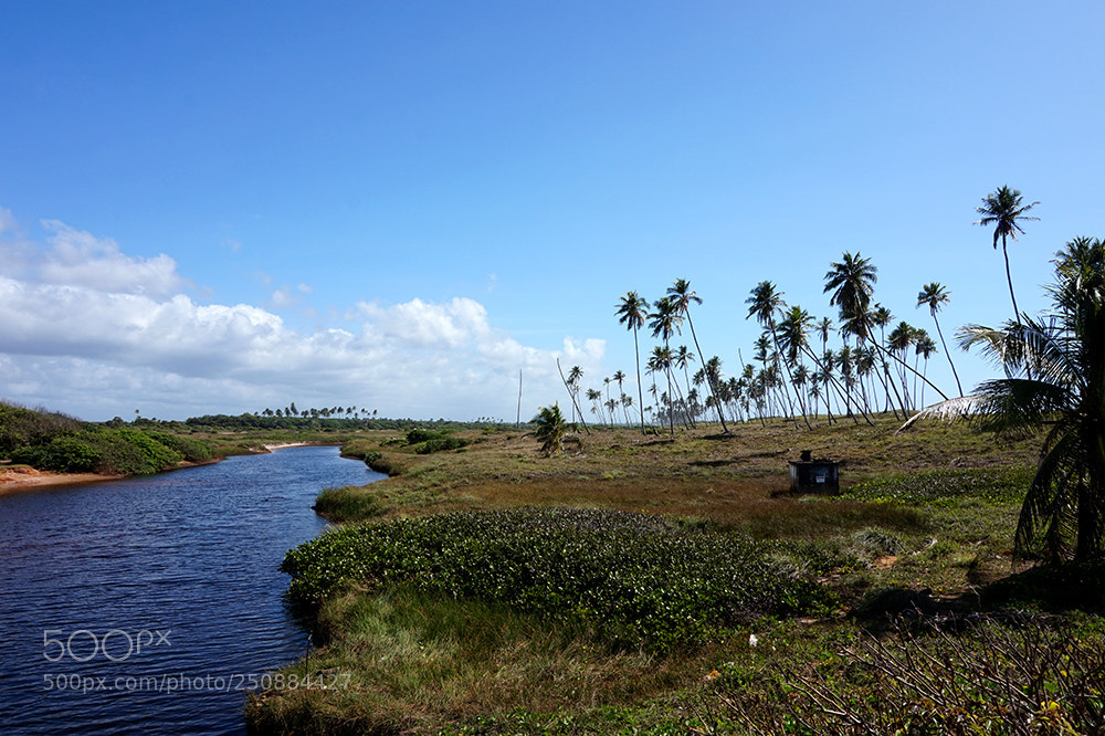 Sony Alpha a5000 (ILCE 5000) sample photo. Brazil 2018 photography
