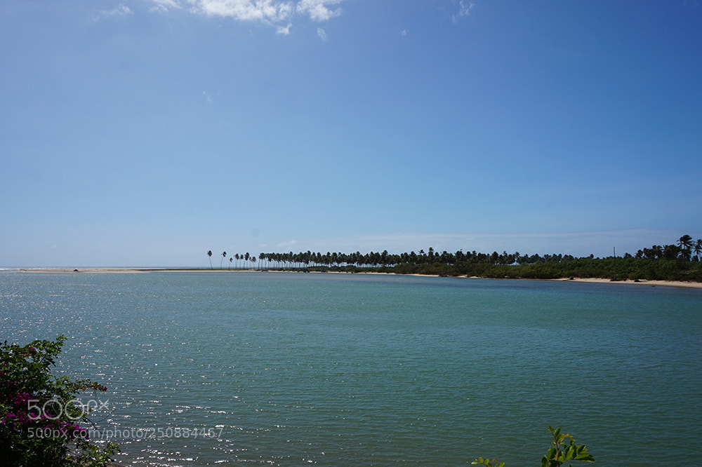 Sony Alpha a5000 (ILCE 5000) sample photo. Brazil 2018 photography