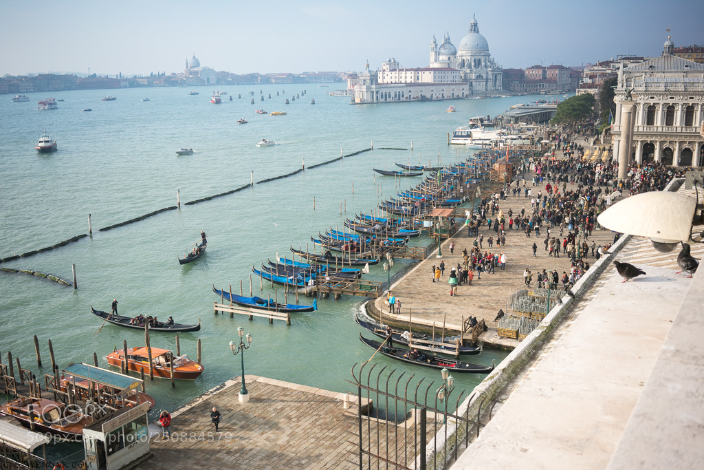 Sony a7R II sample photo. Rooftop venice photography
