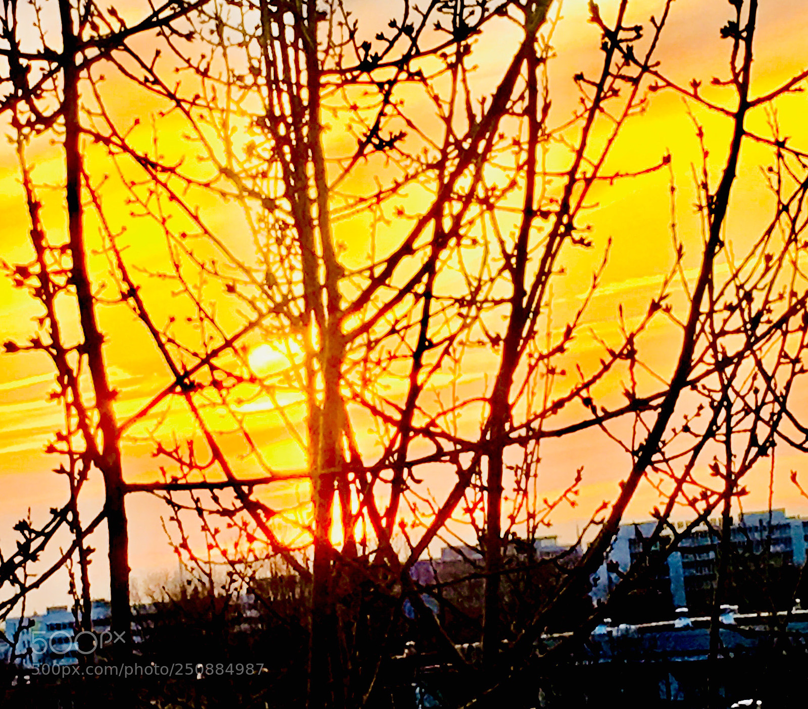 Apple iPhone 6s sample photo. Sunset at the fennpfuhl? photography