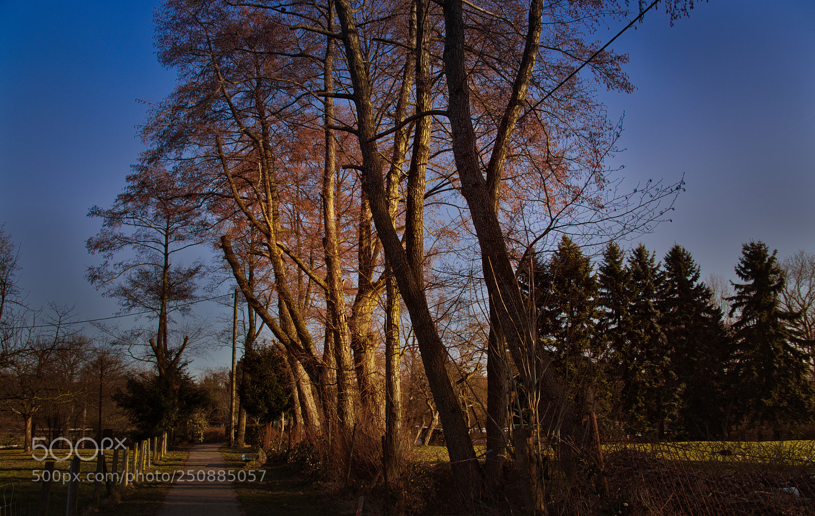 Sony a6000 sample photo. My way photography