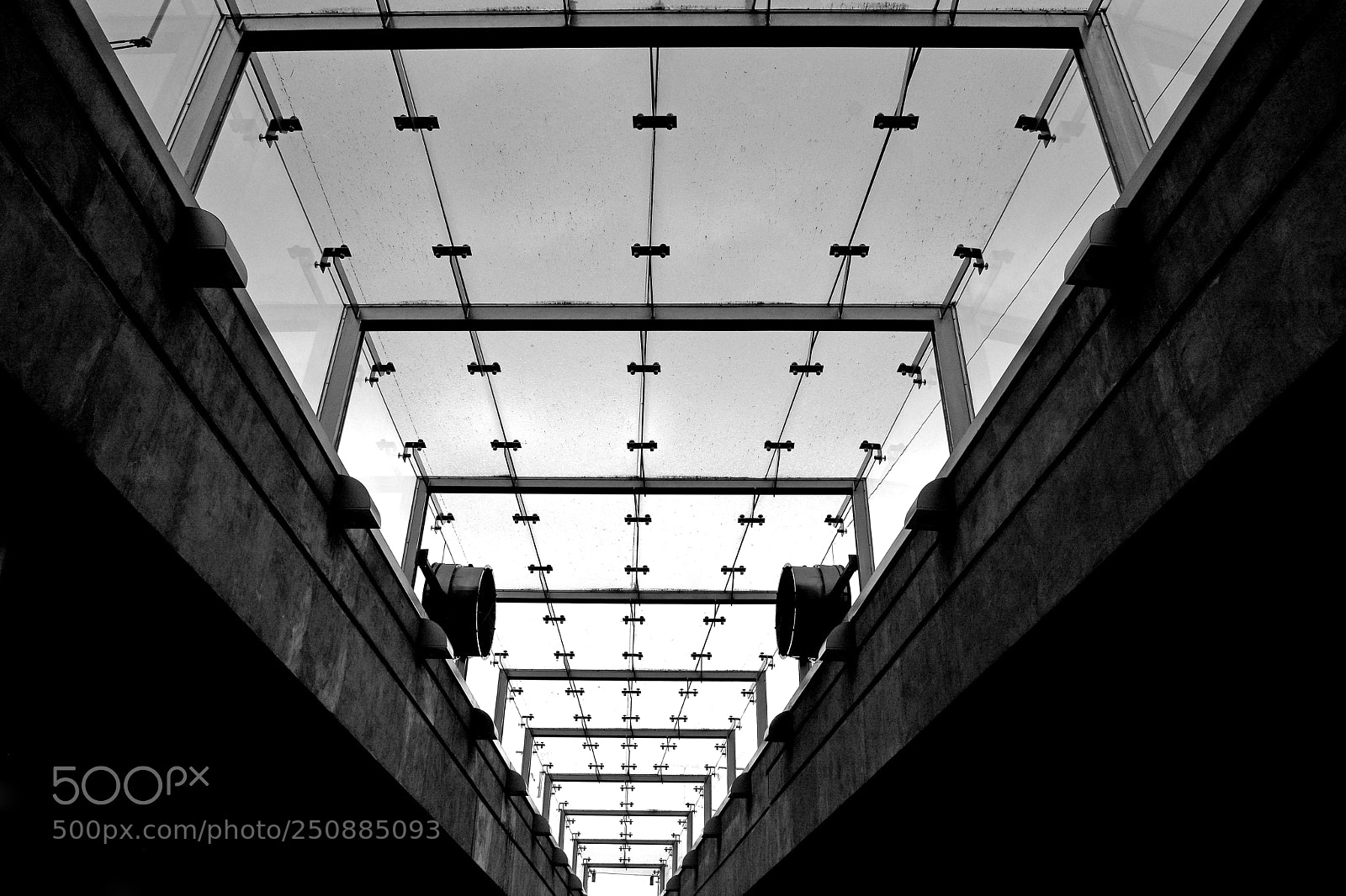 Nikon D7100 sample photo. From below photography