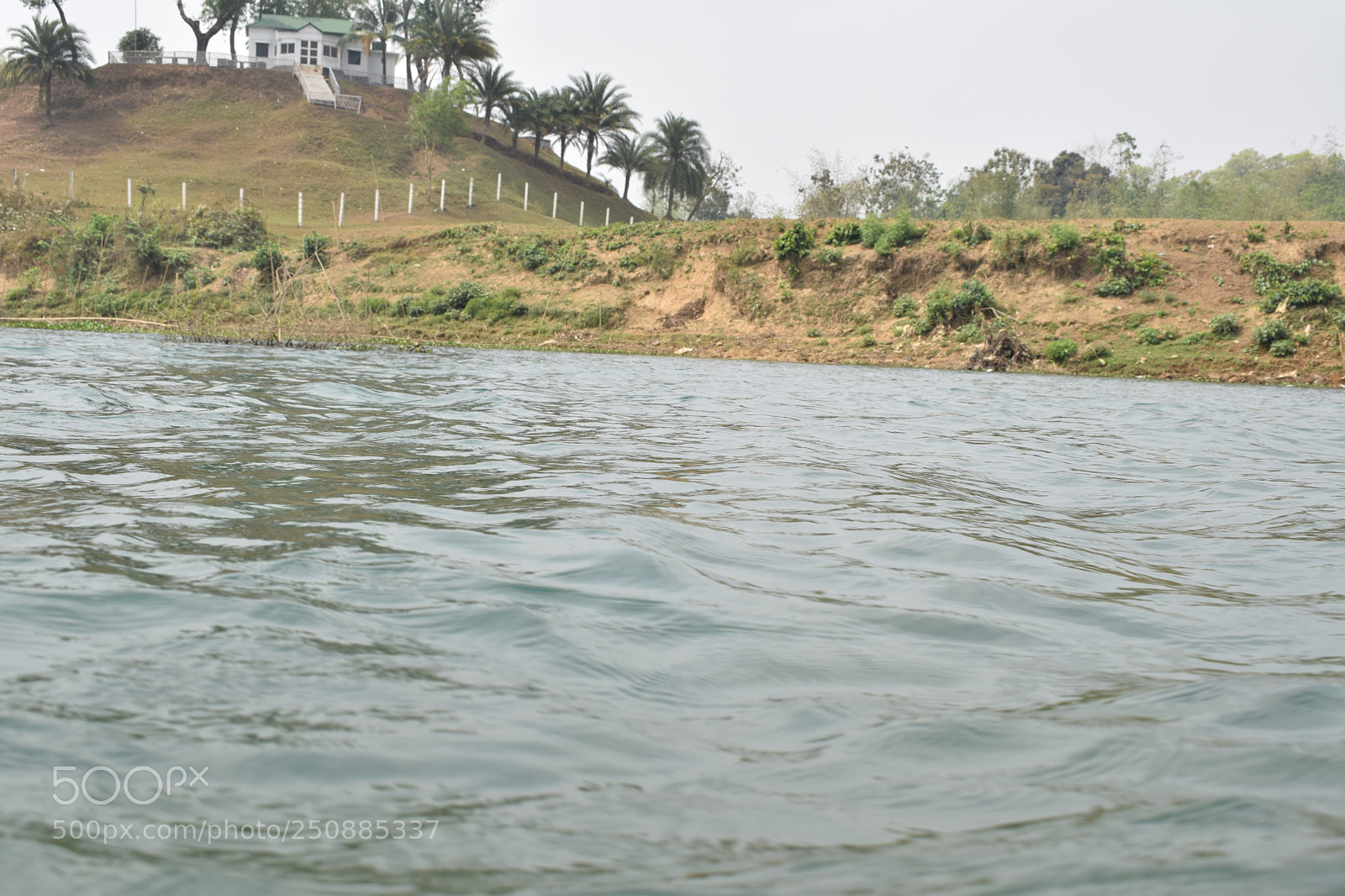 Nikon D3300 sample photo. Birishiri netrokuna, bangladesh photography