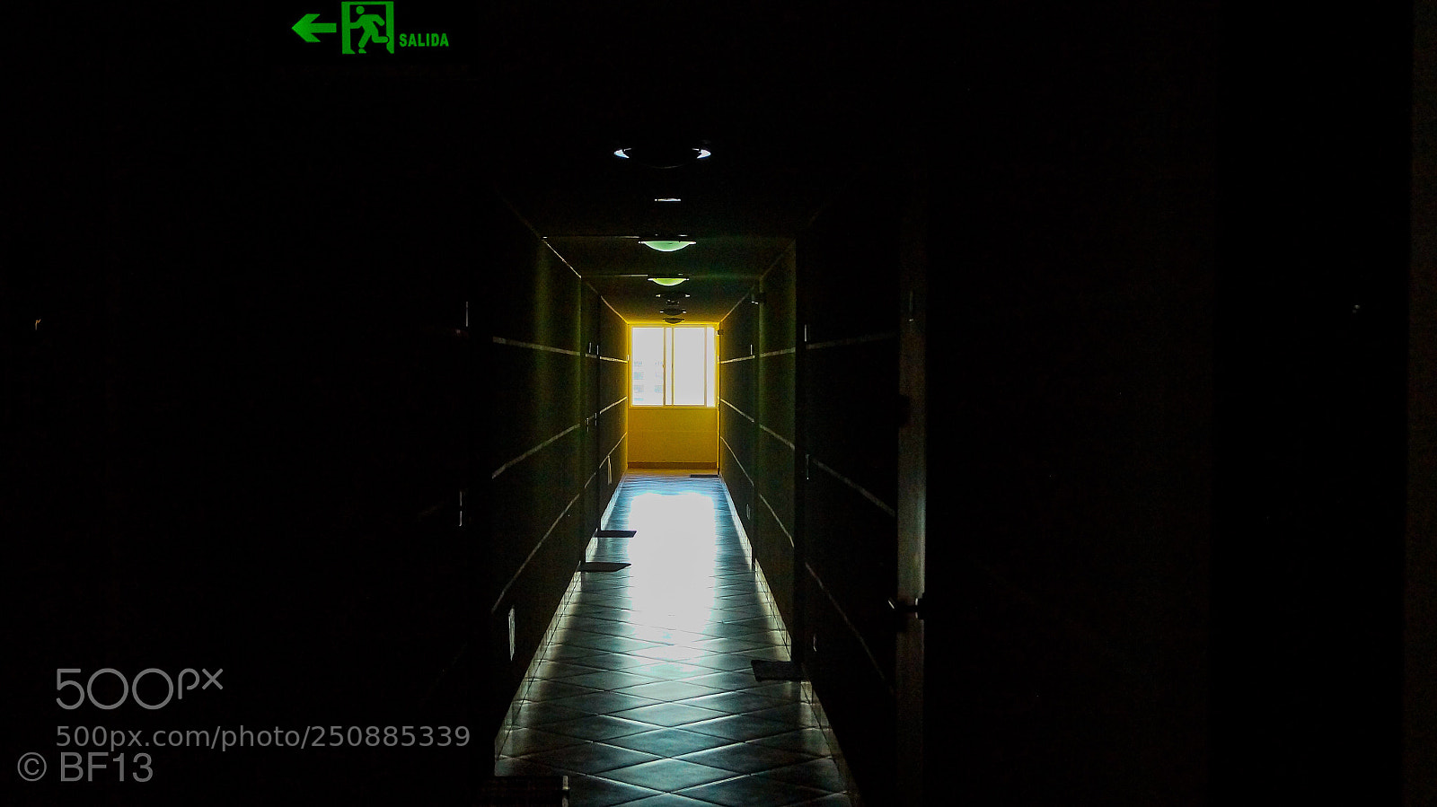 Sony SLT-A37 sample photo. Untitled photography