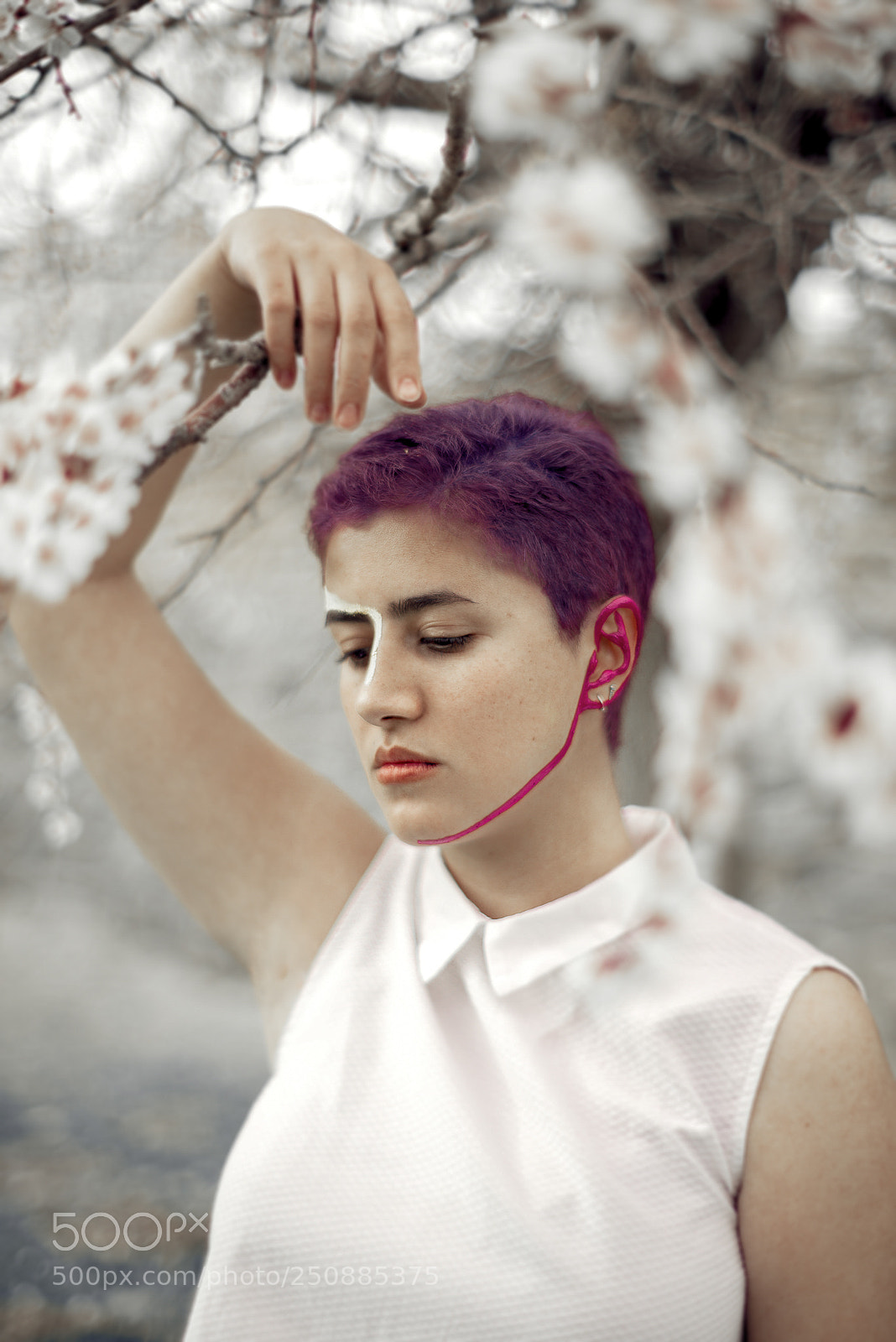 Nikon D610 sample photo. • lavender • photography