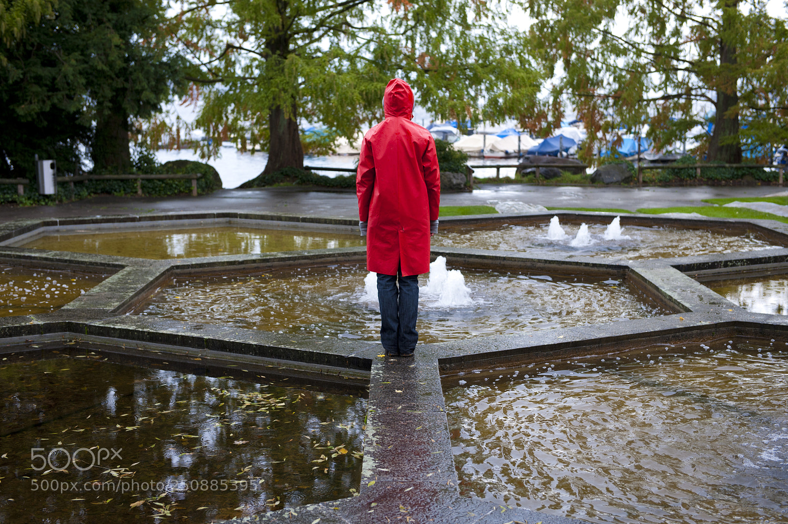 Nikon D700 sample photo. Honeycomb - little red photography