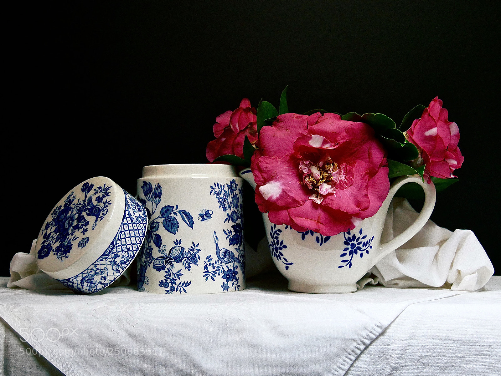 Panasonic Lumix DMC-GX85 (Lumix DMC-GX80 / Lumix DMC-GX7 Mark II) sample photo. Spring camelias photography
