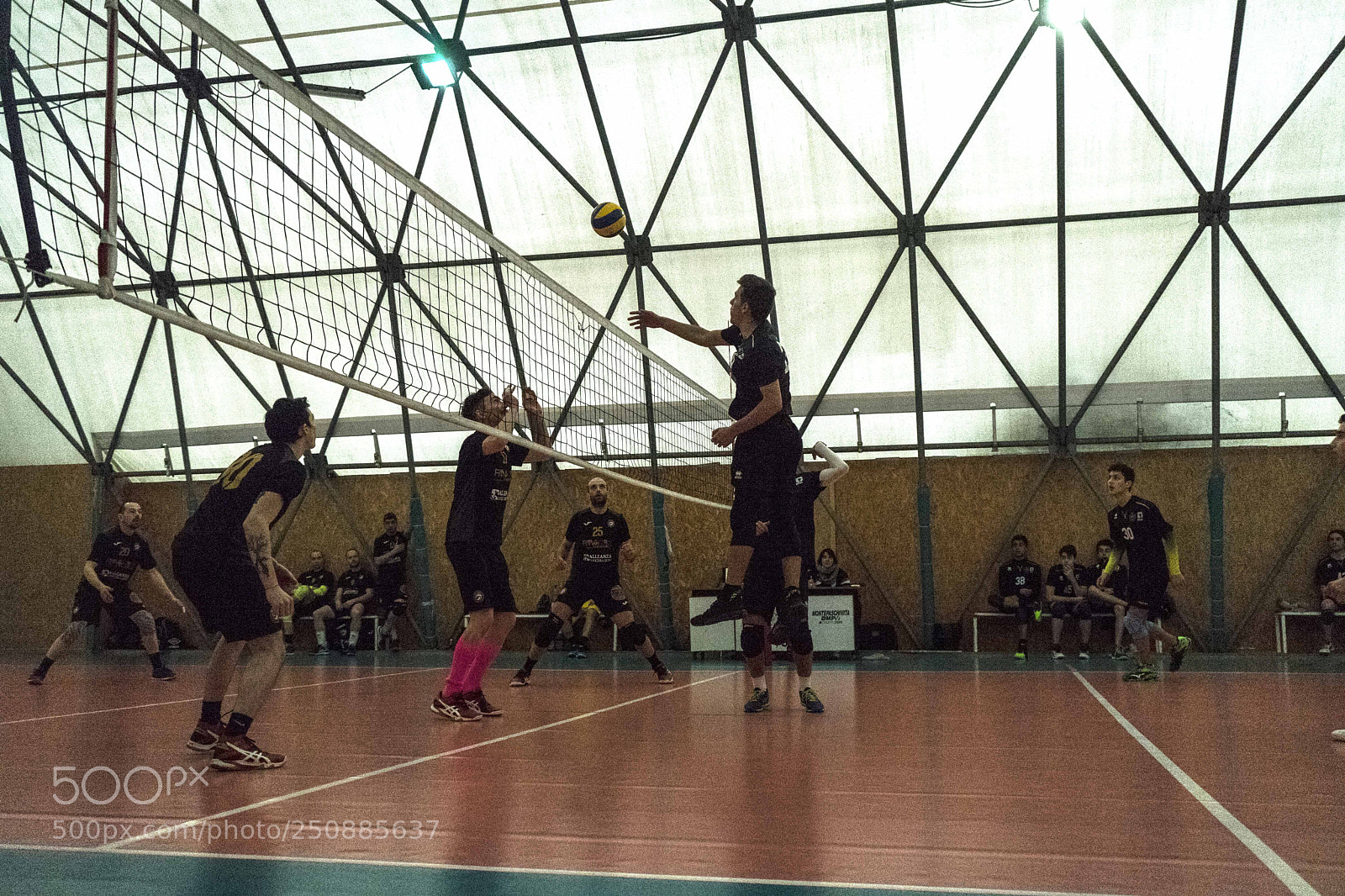 Sony a7 sample photo. Dsc photography