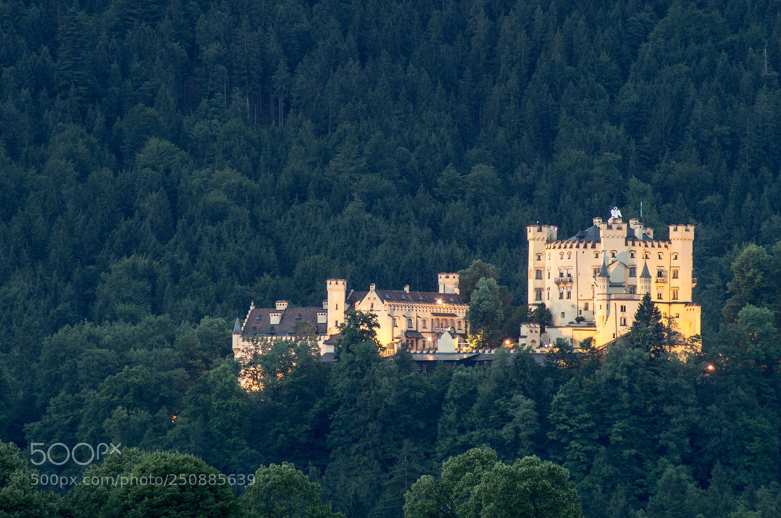 Sony SLT-A35 sample photo. Hohenschwangau castle photography