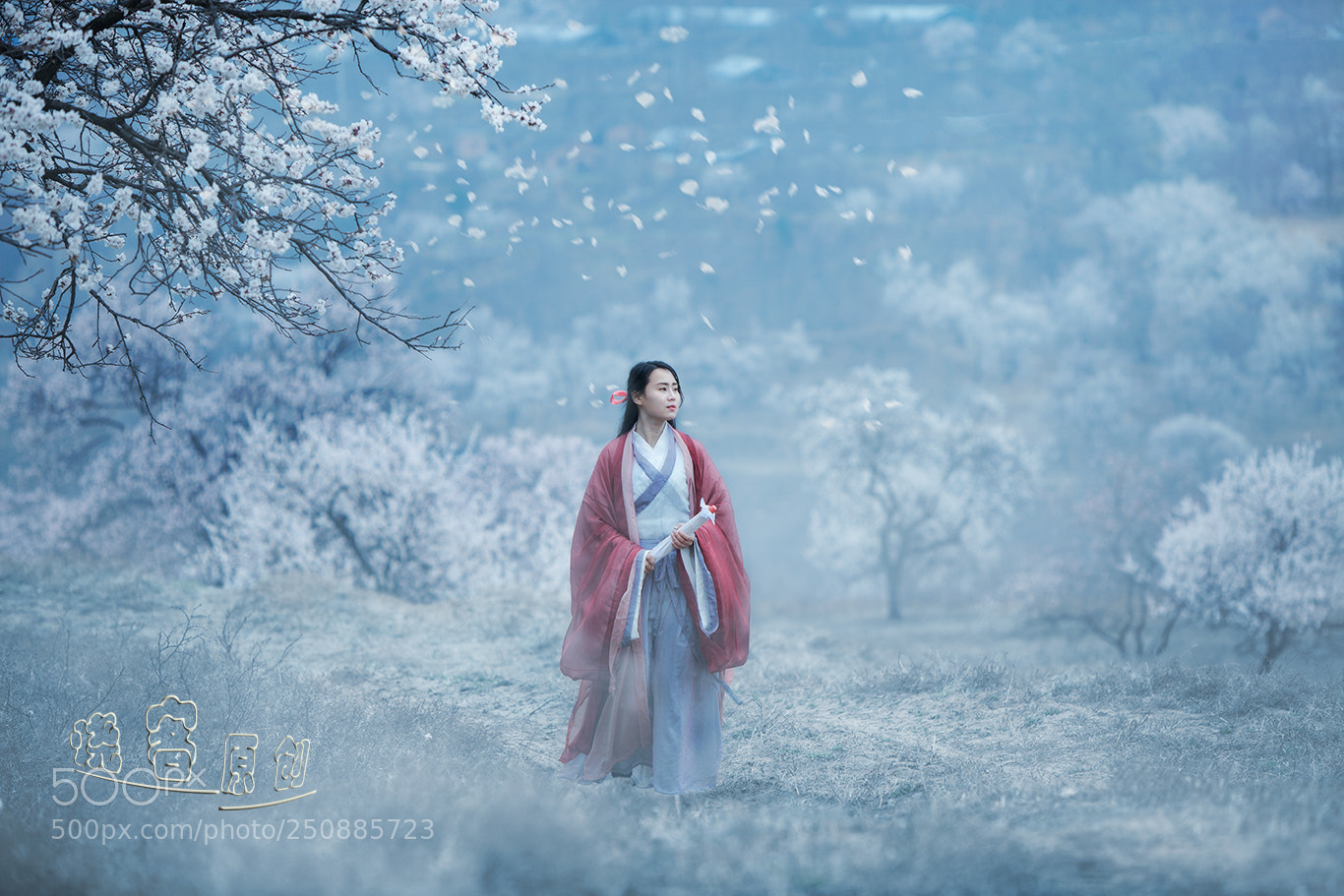 Canon EOS 5D Mark II sample photo. 梦境杏花林 photography