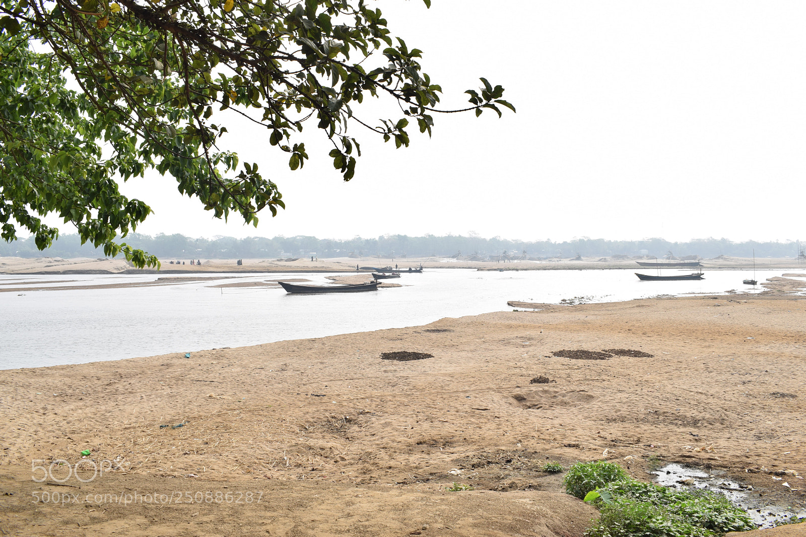 Nikon D3300 sample photo. Birishiri netrokuna, bangladesh photography